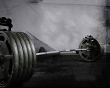 Das Weight Bar Gym Workout Wallpaper 220x176