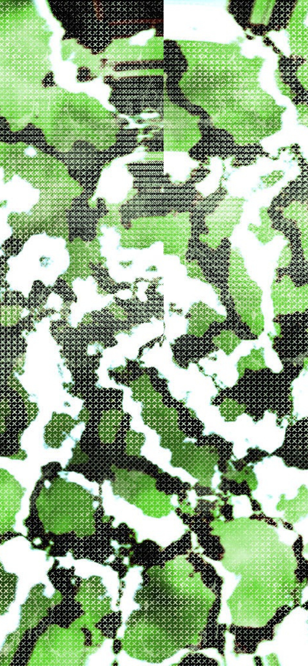 Green Snake Skin wallpaper 1170x2532
