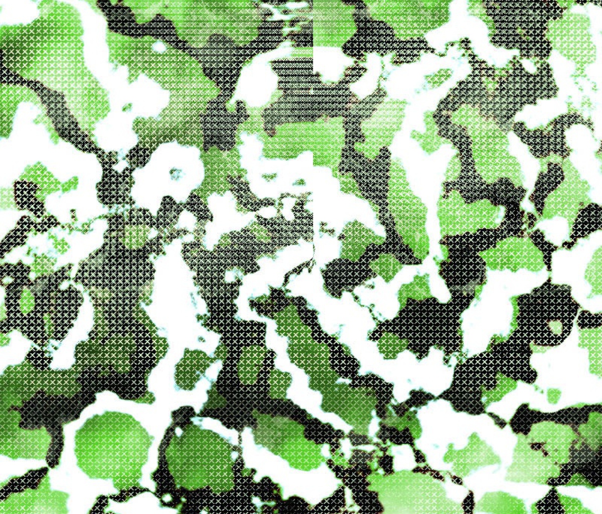 Screenshot №1 pro téma Green Snake Skin 1200x1024