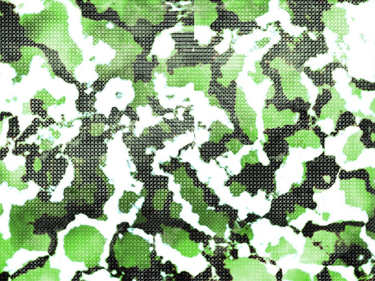 Screenshot №1 pro téma Green Snake Skin 1280x960