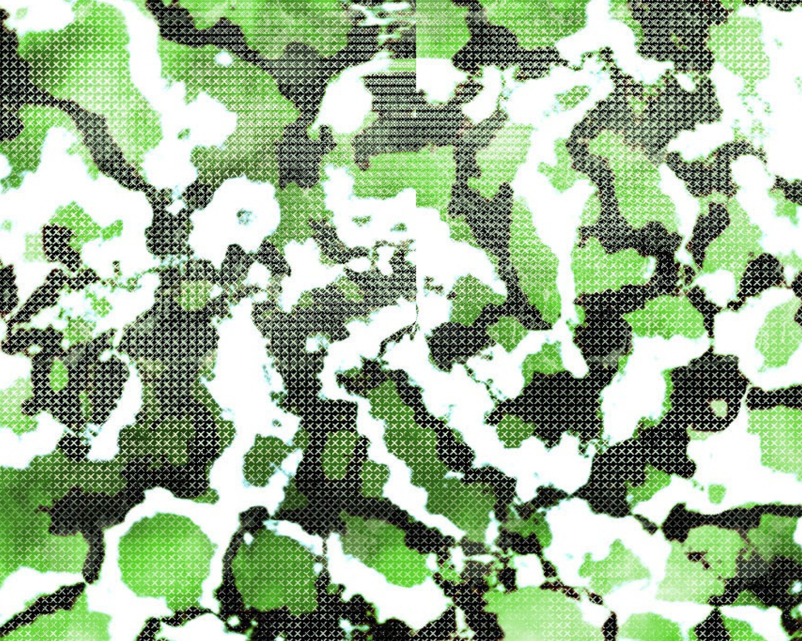 Fondo de pantalla Green Snake Skin 1600x1280