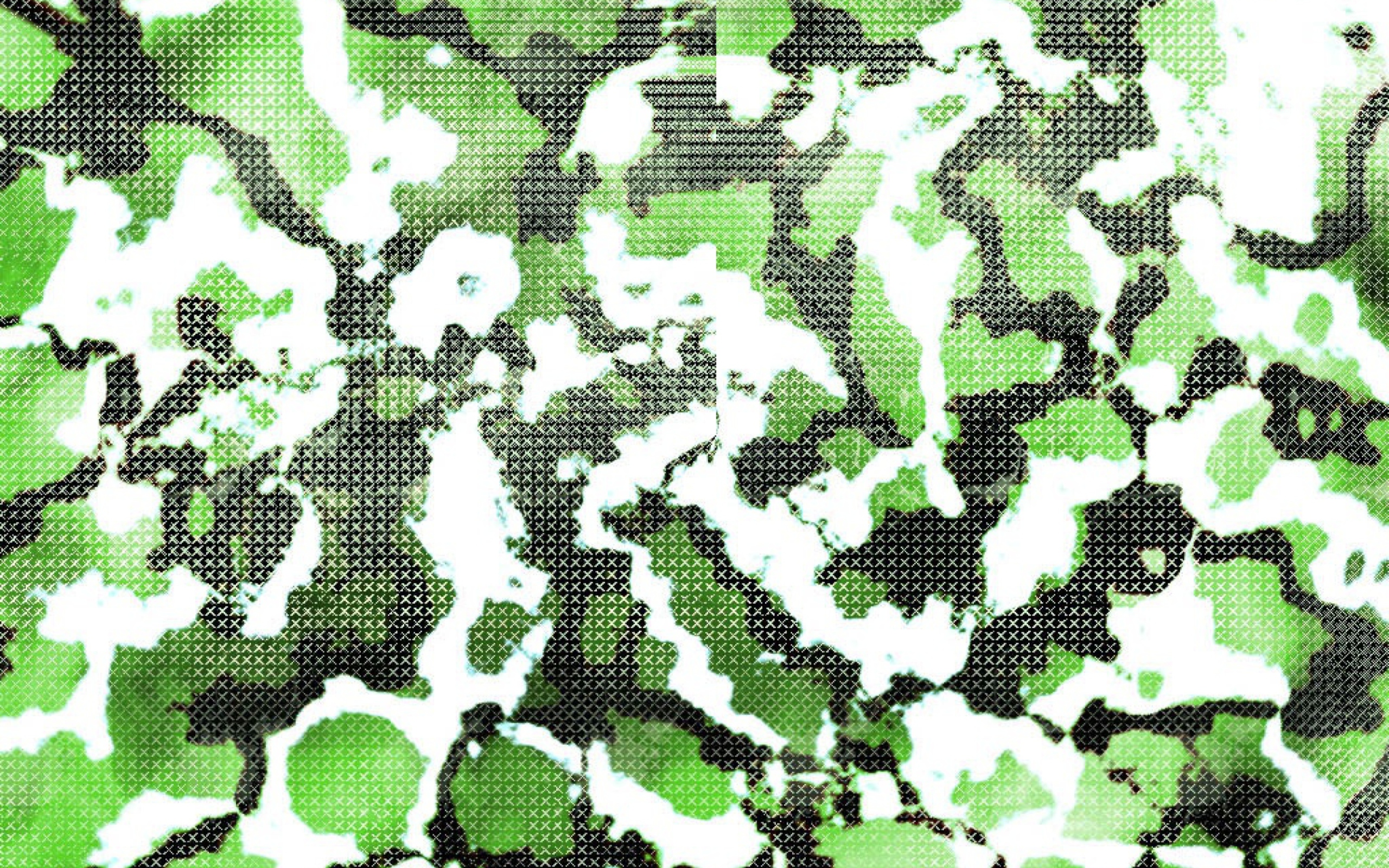Das Green Snake Skin Wallpaper 2560x1600