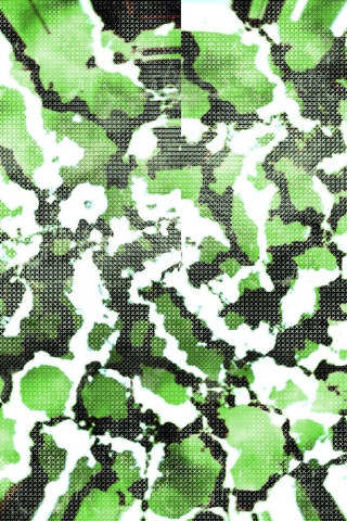 Das Green Snake Skin Wallpaper 320x480