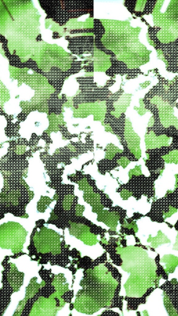 Das Green Snake Skin Wallpaper 360x640