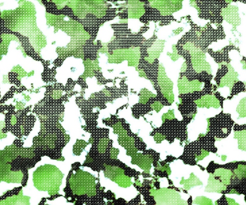 Fondo de pantalla Green Snake Skin 480x400