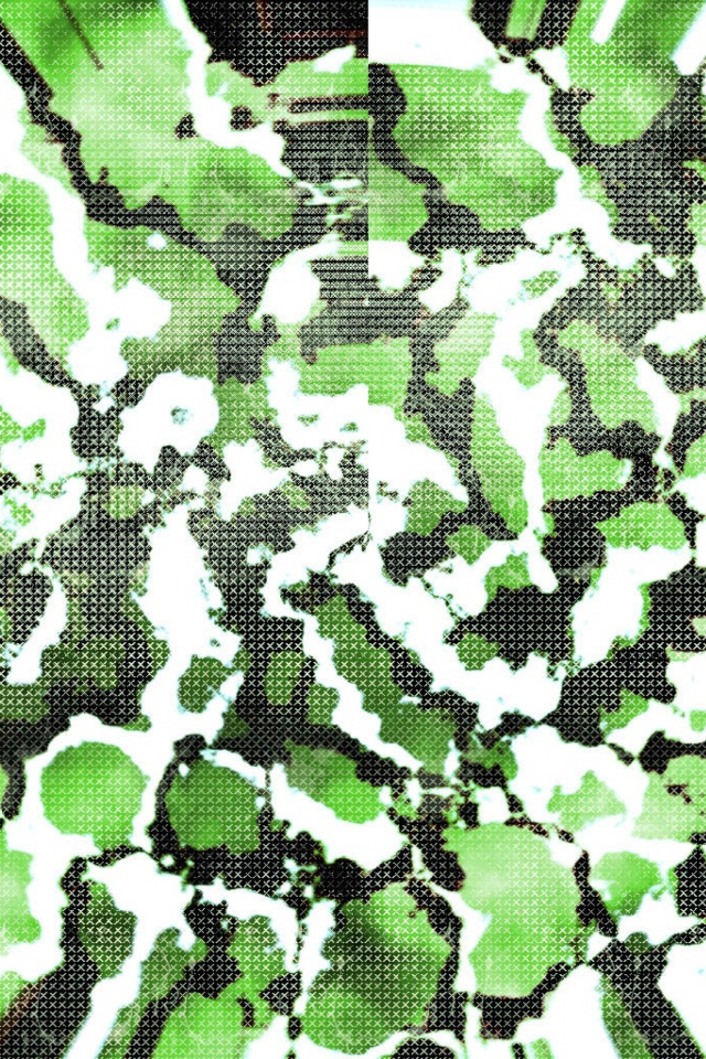 Das Green Snake Skin Wallpaper 640x960