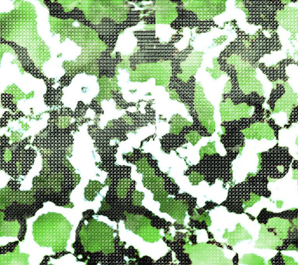 Green Snake Skin wallpaper 960x854