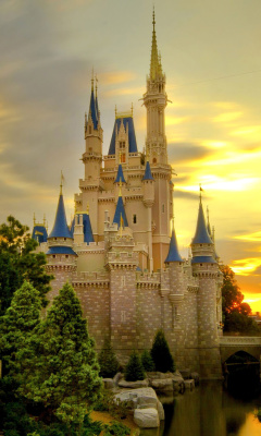 Das Disneyland Castle Wallpaper 240x400