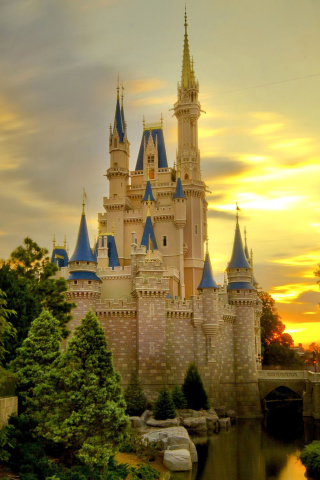Обои Disneyland Castle 320x480