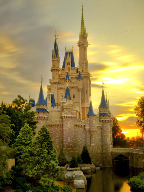 Обои Disneyland Castle 480x640