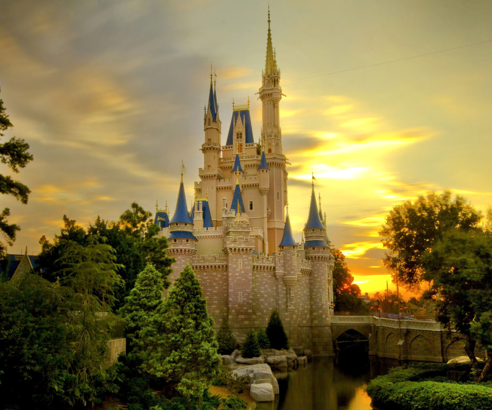 Das Disneyland Castle Wallpaper 960x800