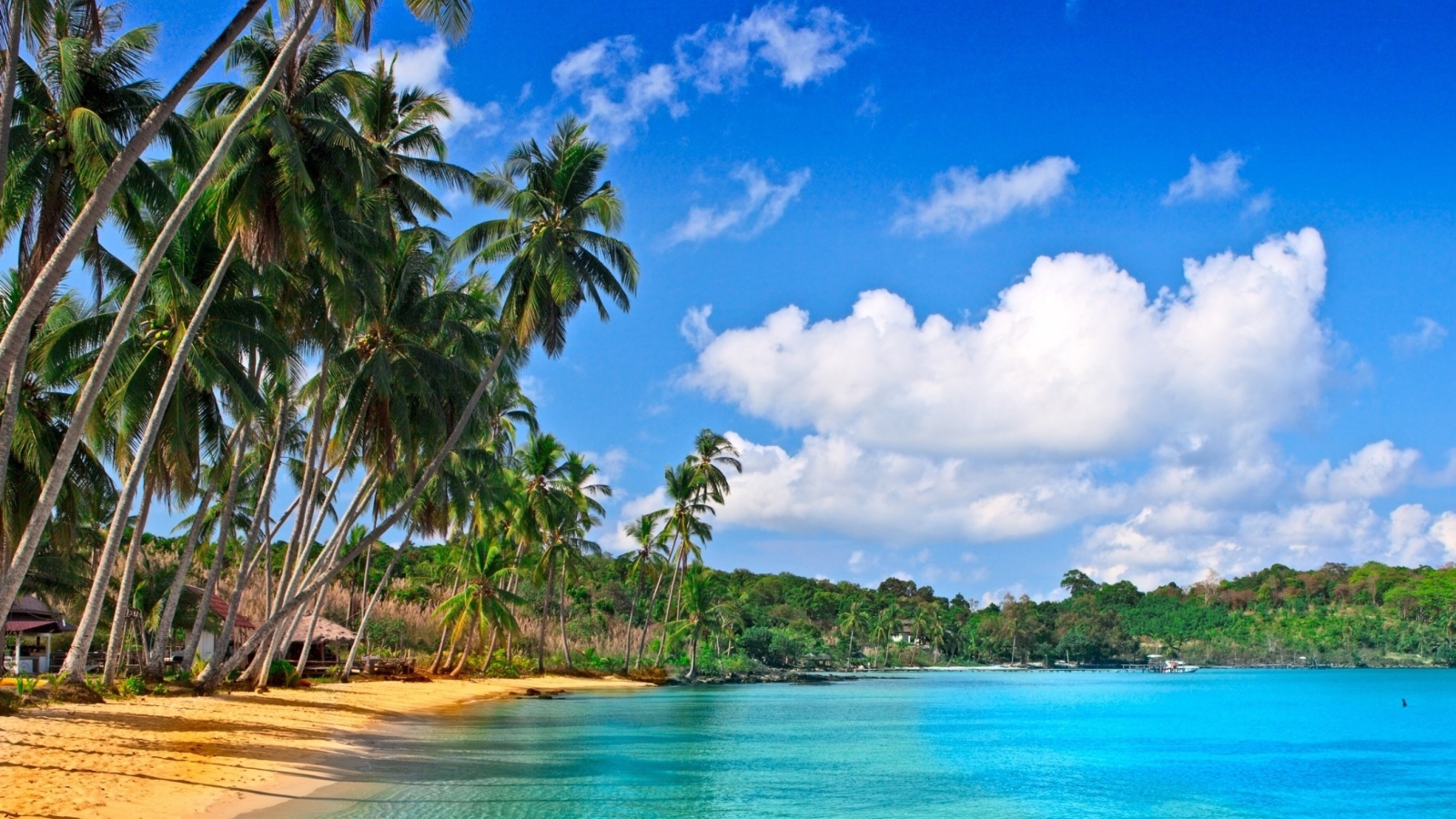 Das Caribbean Beach Wallpaper 1600x900