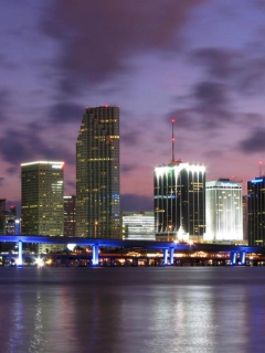 Fondo de pantalla Miami Skyline Dusk 240x320