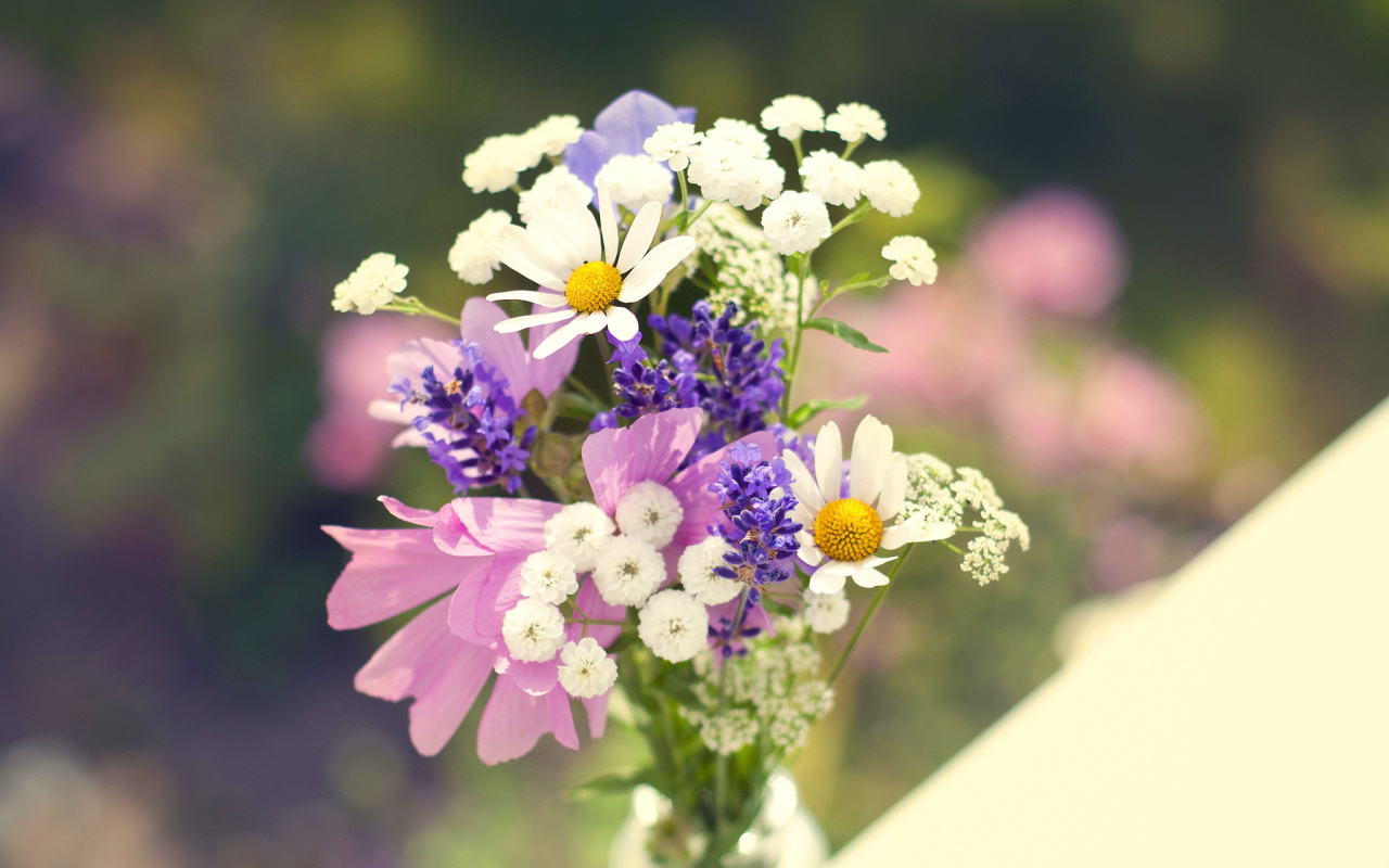Screenshot №1 pro téma Bouquet of wildflowers 1280x800