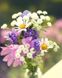 Fondo de pantalla Bouquet of wildflowers 128x160