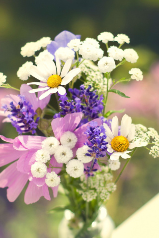 Fondo de pantalla Bouquet of wildflowers 320x480