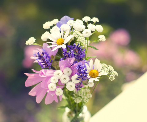 Fondo de pantalla Bouquet of wildflowers 480x400