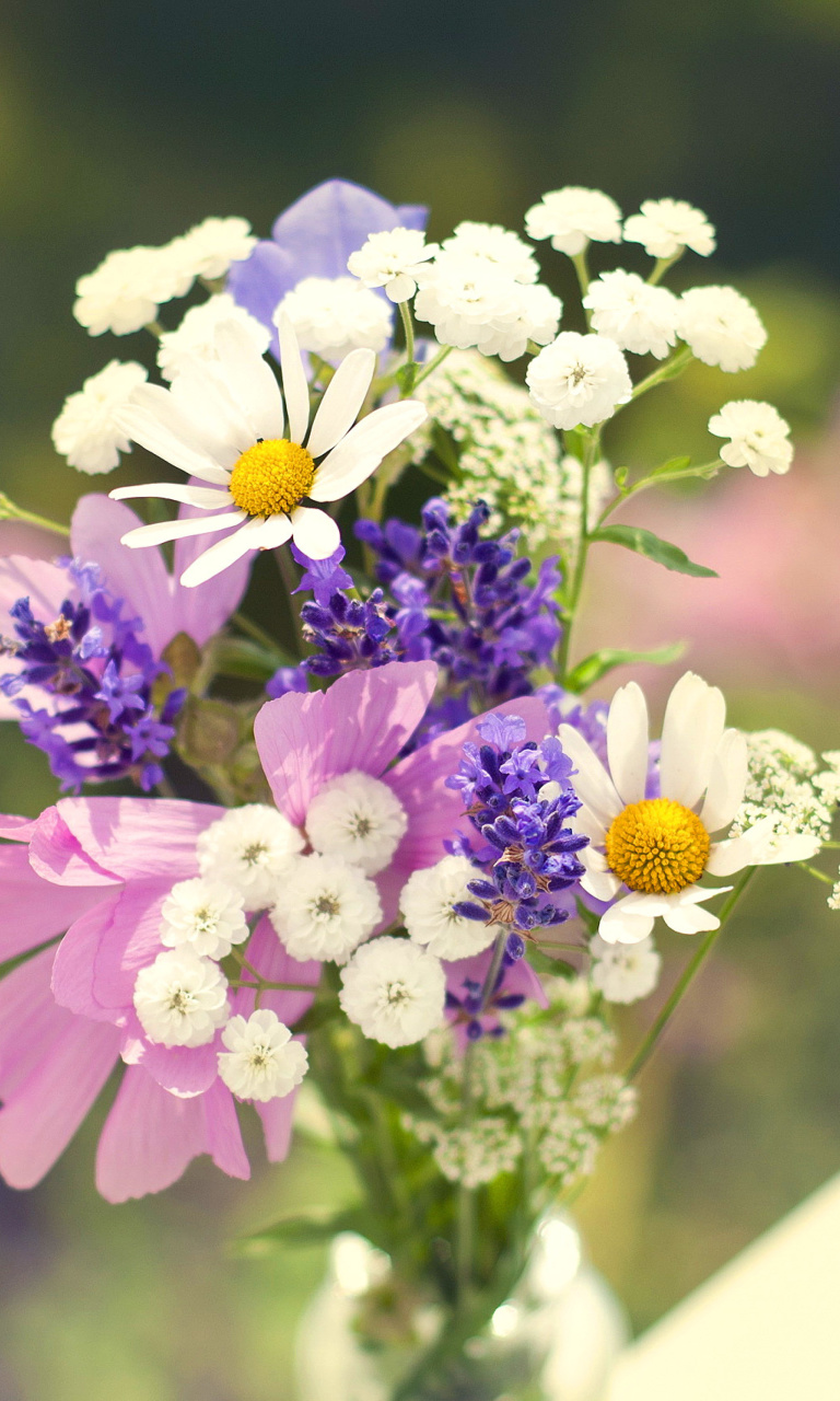 Обои Bouquet of wildflowers 768x1280