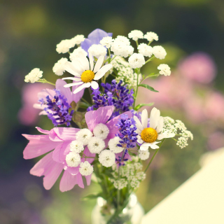 Kostenloses Bouquet of wildflowers Wallpaper für iPad 3