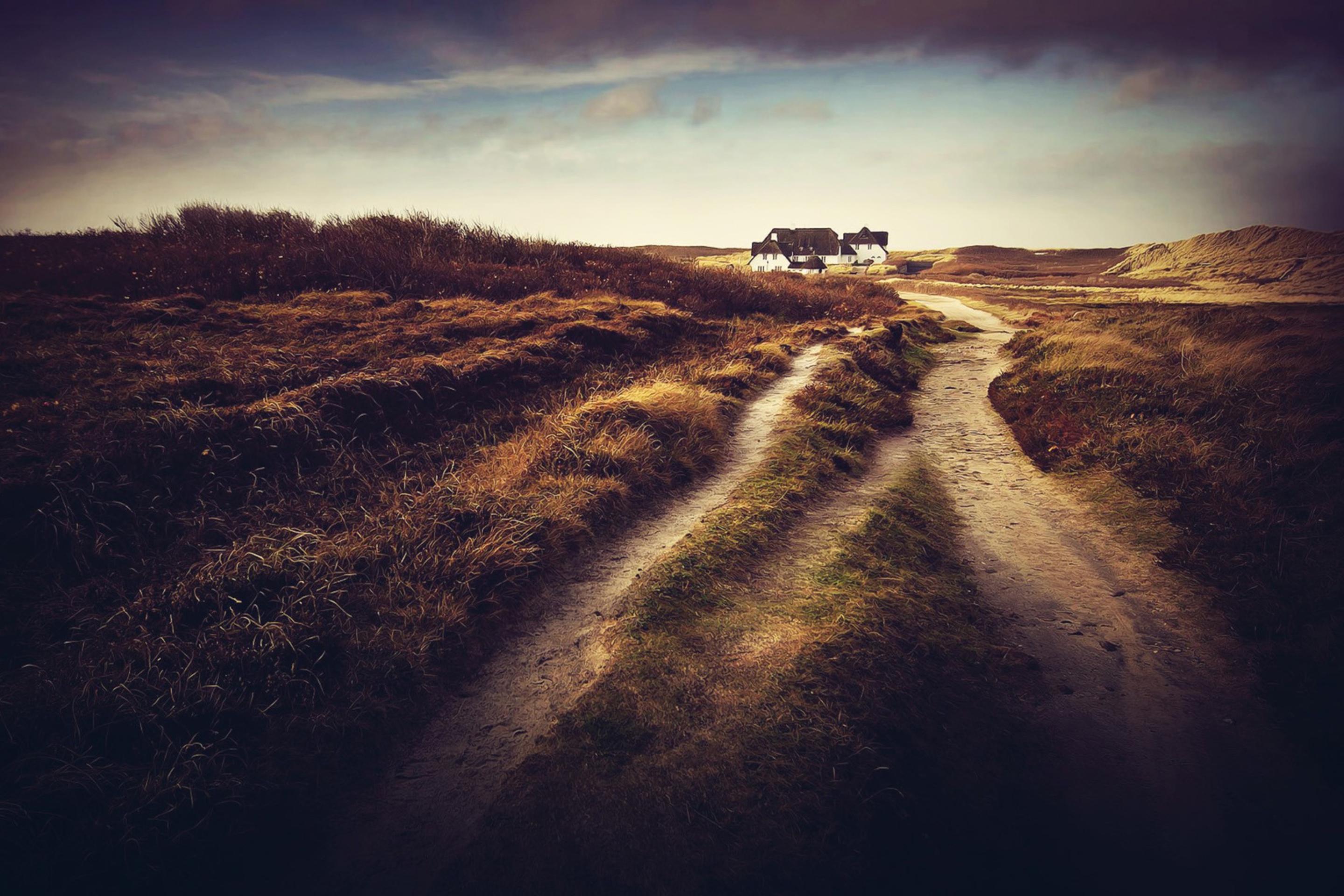 Different roads. Сельская дорога. Проселочная дорога. Дорога в поле. Пейзаж с дорогой.