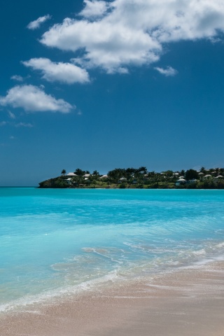 Valley Church Beach in Antigua screenshot #1 320x480
