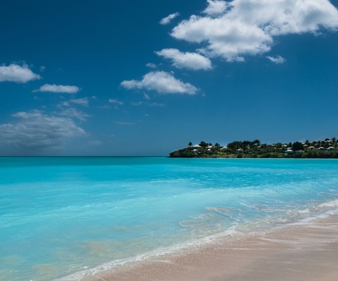 Valley Church Beach in Antigua screenshot #1 480x400