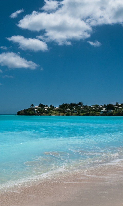 Valley Church Beach in Antigua screenshot #1 480x800