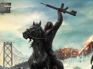 Das Dawn Of The Planet Of The Apes Movie Wallpaper 320x240