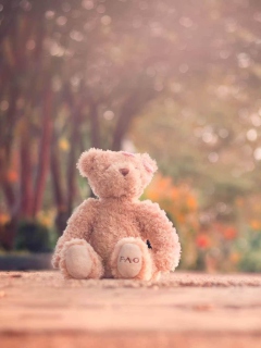 Teddy Bear Left Alone On Road screenshot #1 240x320
