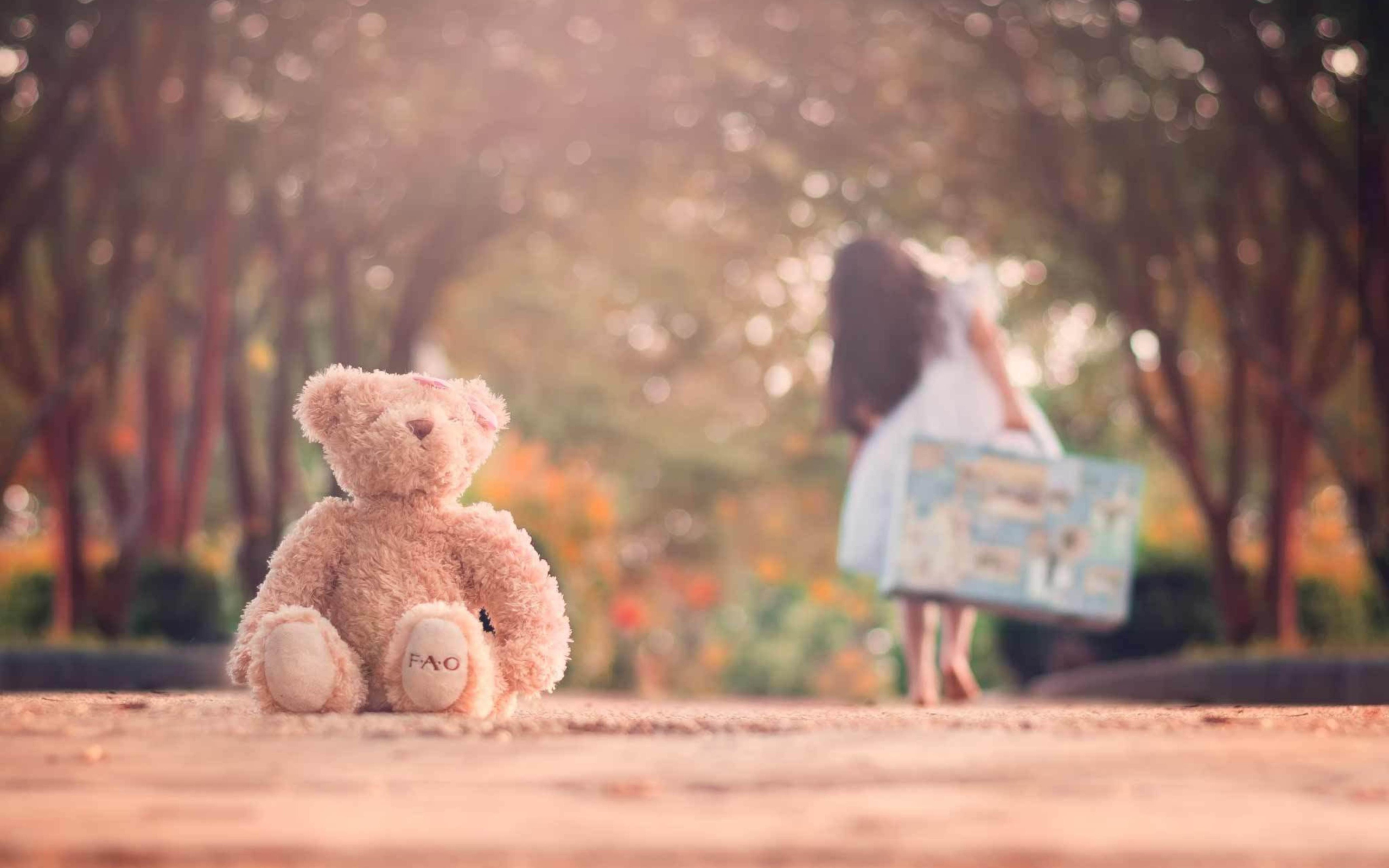 Teddy Bear Left Alone On Road wallpaper 2560x1600