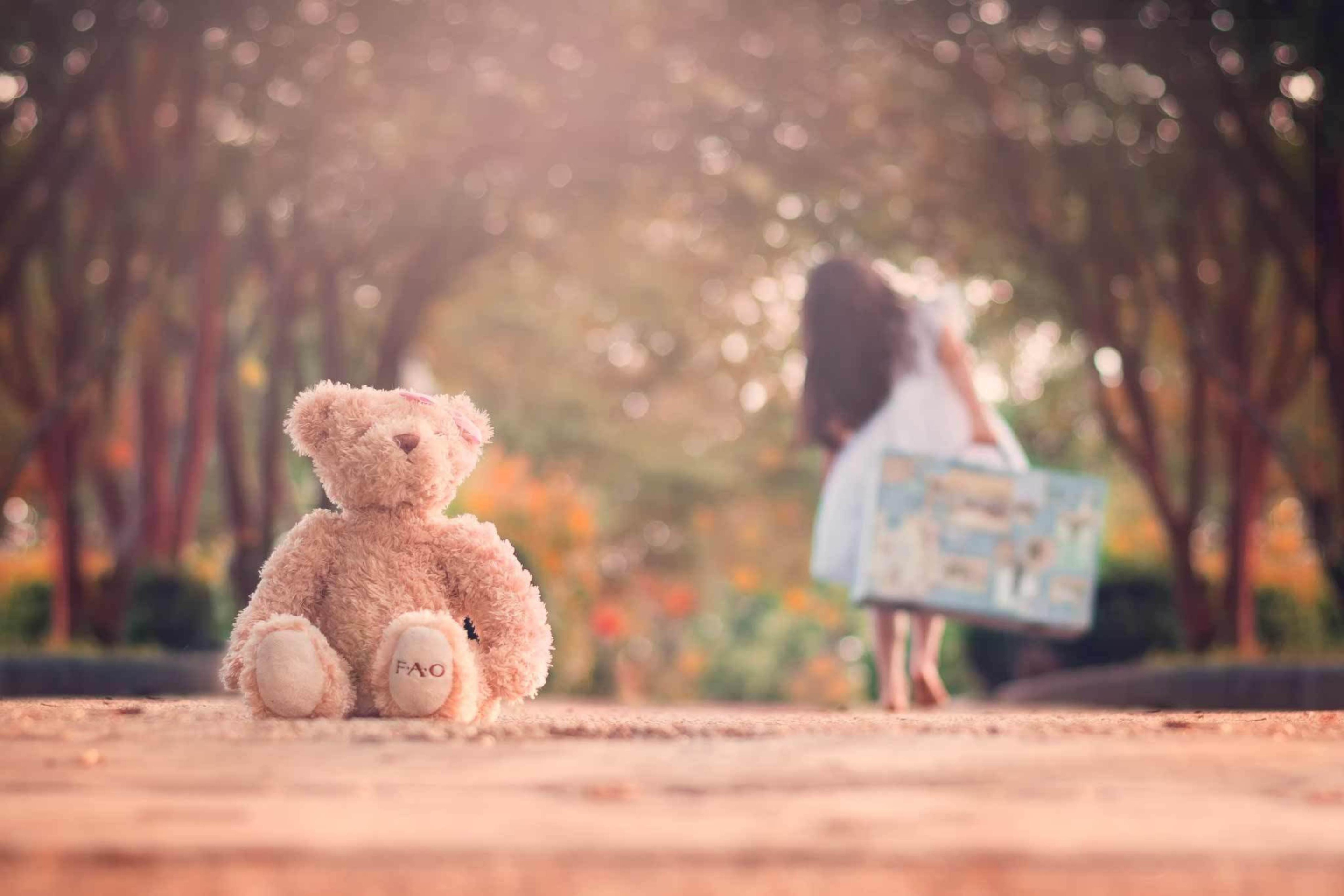 Teddy Bear Left Alone On Road screenshot #1 2880x1920