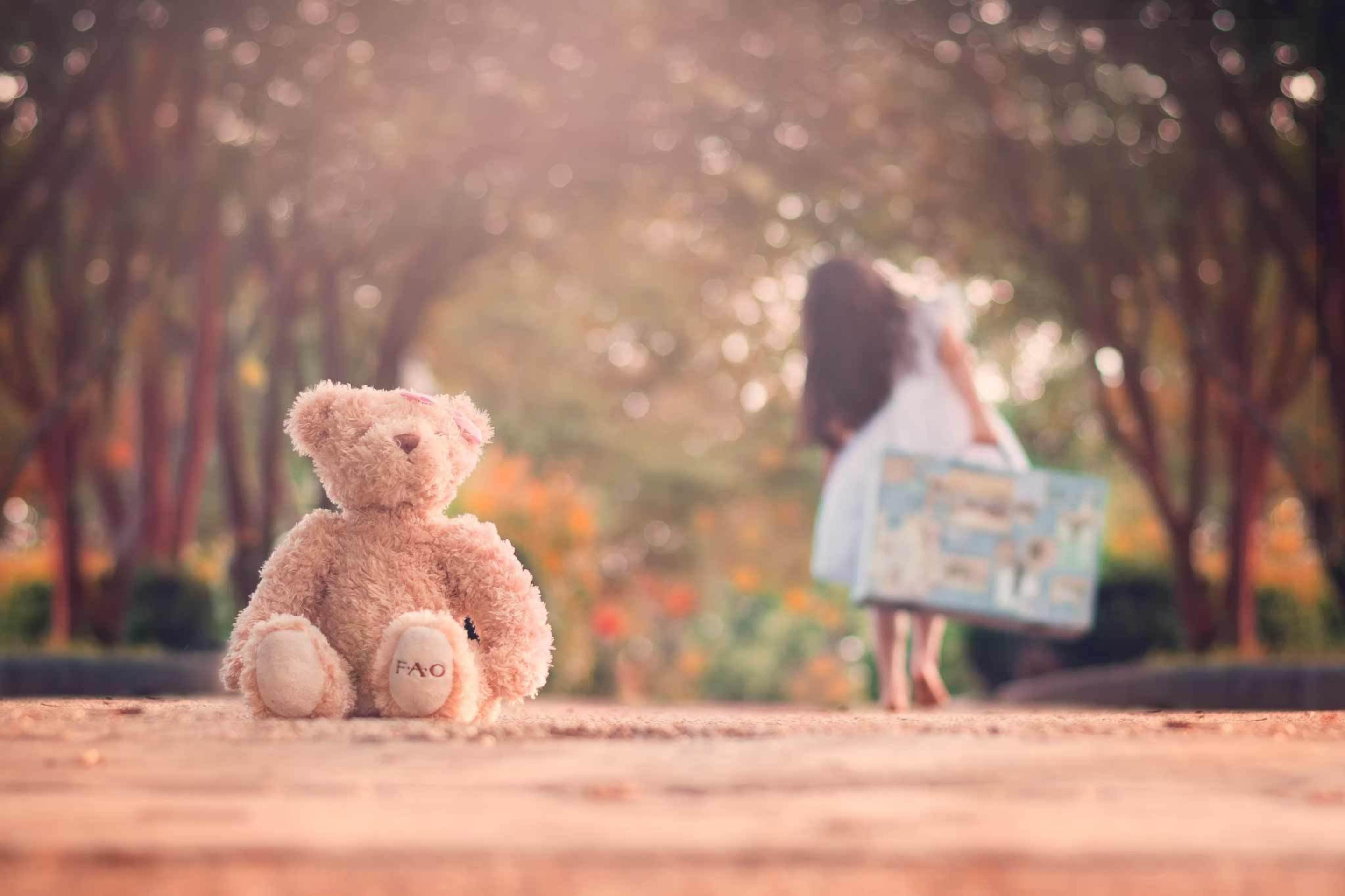 Обои Teddy Bear Left Alone On Road 2880x1920