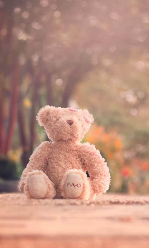 Fondo de pantalla Teddy Bear Left Alone On Road 480x800