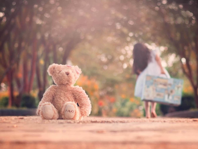 Teddy Bear Left Alone On Road screenshot #1 640x480