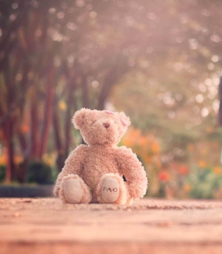Teddy Bear Left Alone On Road sfondi gratuiti per Nokia Asha 306