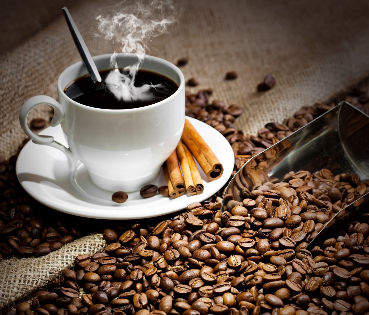 Cup Of Hot Coffee And Cinnamon Sticks screenshot #1 1200x1024