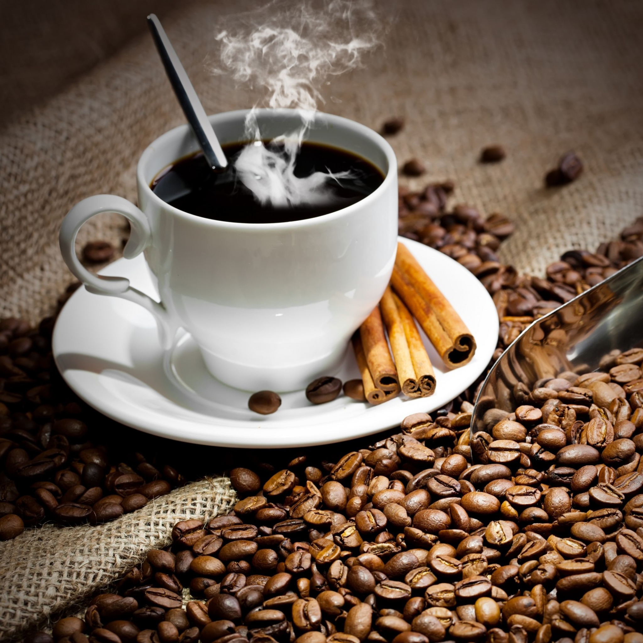 Sfondi Cup Of Hot Coffee And Cinnamon Sticks 2048x2048