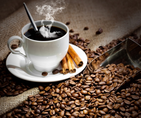 Cup Of Hot Coffee And Cinnamon Sticks wallpaper 480x400