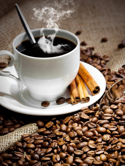 Cup Of Hot Coffee And Cinnamon Sticks wallpaper 480x640