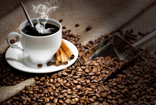 Free Cup Of Hot Coffee And Cinnamon Sticks Picture for Android, iPhone and iPad