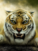 Angry Tiger HD wallpaper 132x176