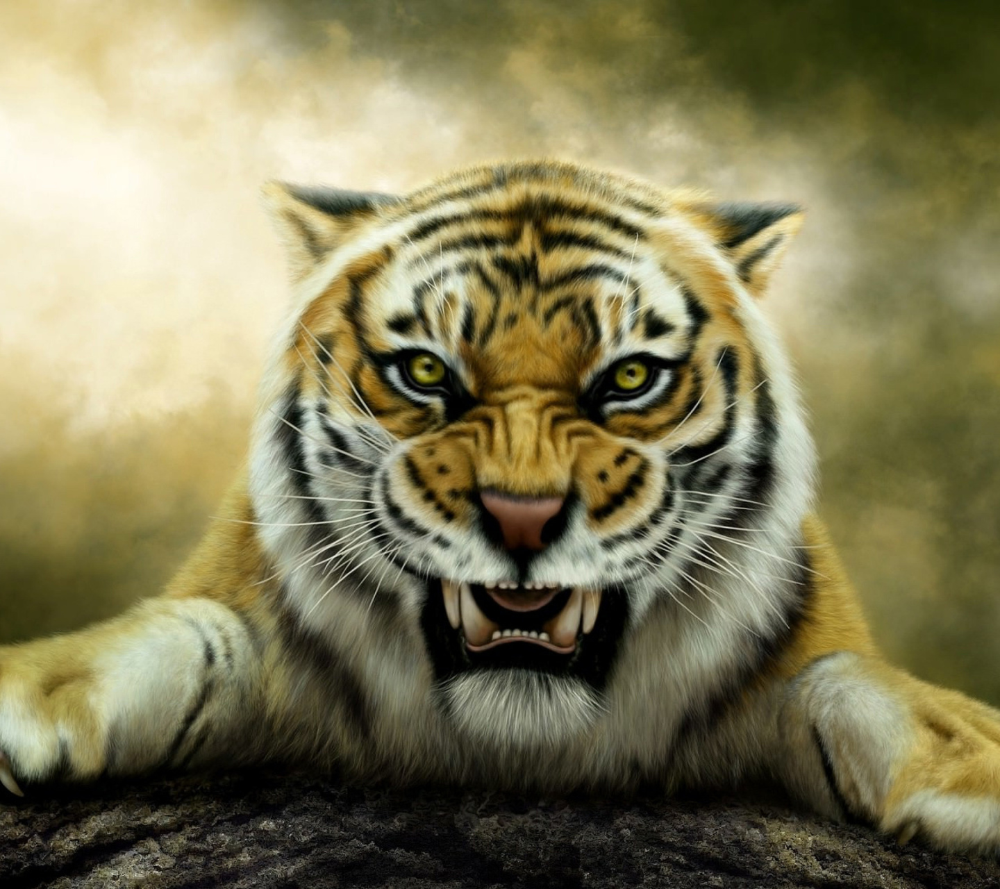 Das Angry Tiger HD Wallpaper 1440x1280