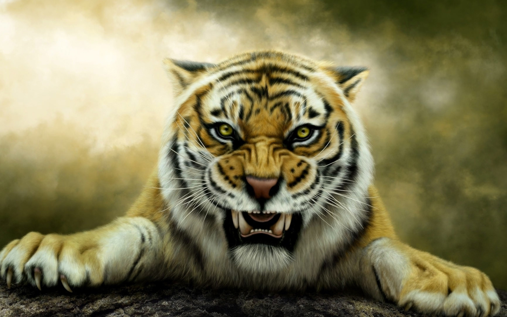 Das Angry Tiger HD Wallpaper 1680x1050