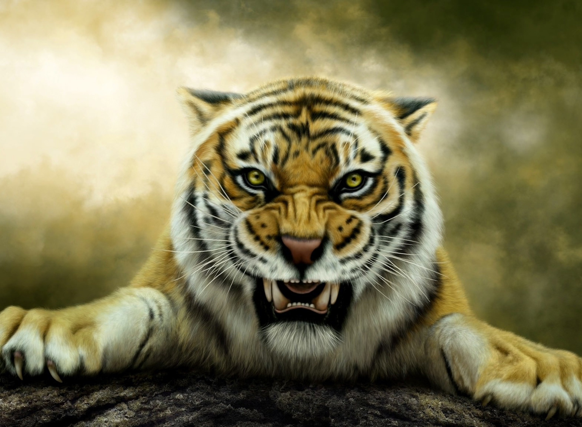 Fondo de pantalla Angry Tiger HD 1920x1408