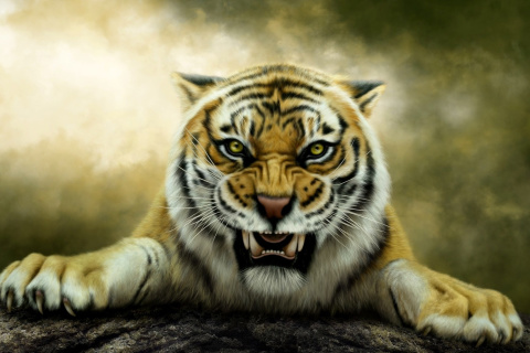 Обои Angry Tiger HD 480x320