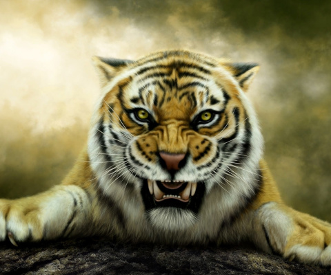 Fondo de pantalla Angry Tiger HD 480x400