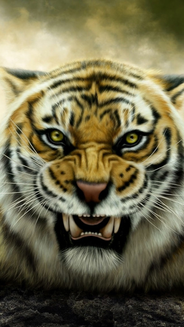 Angry Tiger HD wallpaper 640x1136