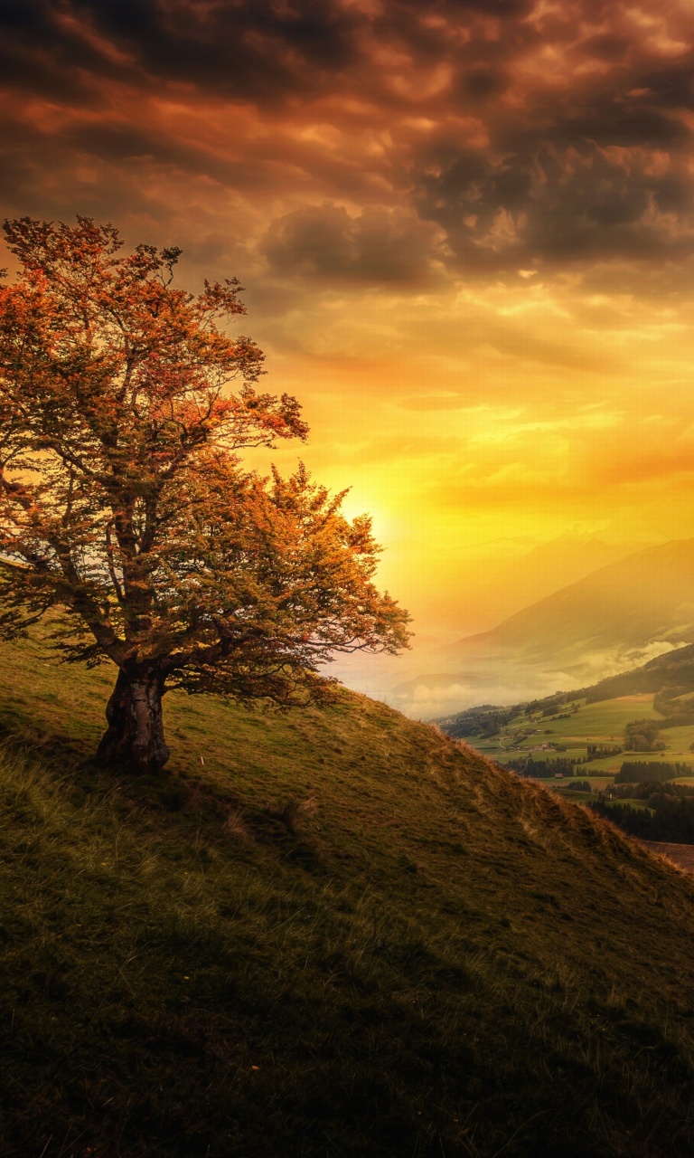 Switzerland Autumn Scenery screenshot #1 768x1280