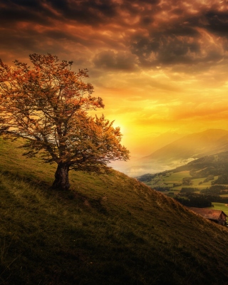 Switzerland Autumn Scenery - Obrázkek zdarma pro Nokia Lumia 1520