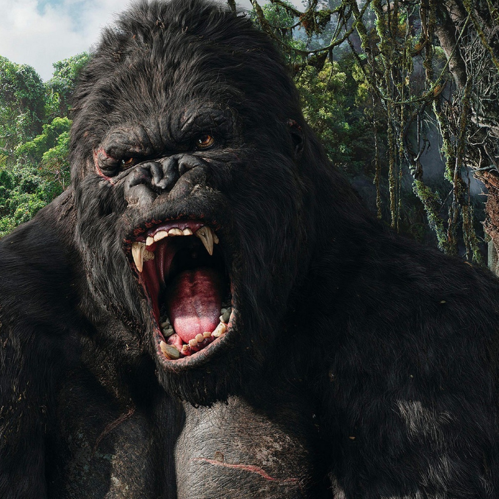 Fondo de pantalla King Kong 1024x1024